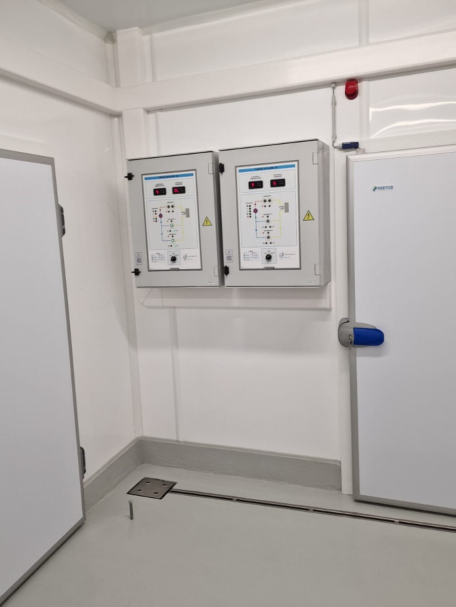 Imagem WhatsApp 2025-01-15 às 11.23.25_96cf0663