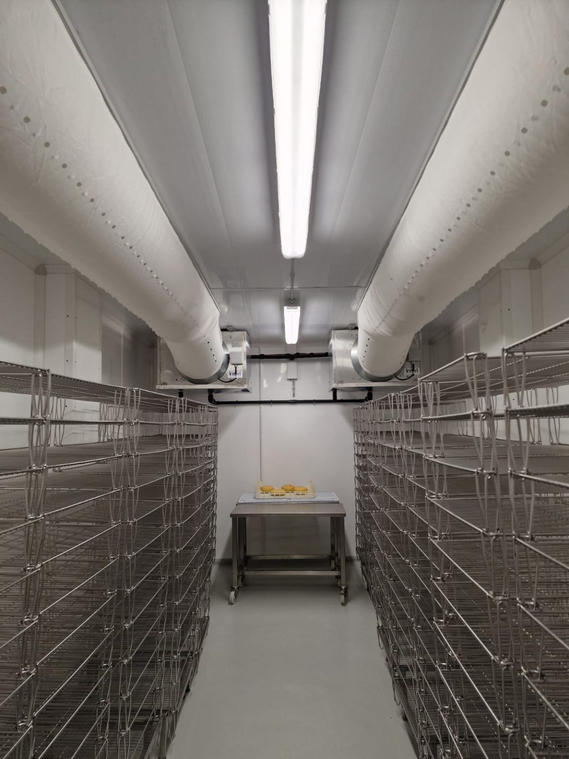 Imagem WhatsApp 2025-01-15 às 11.23.28_f1ad0c97