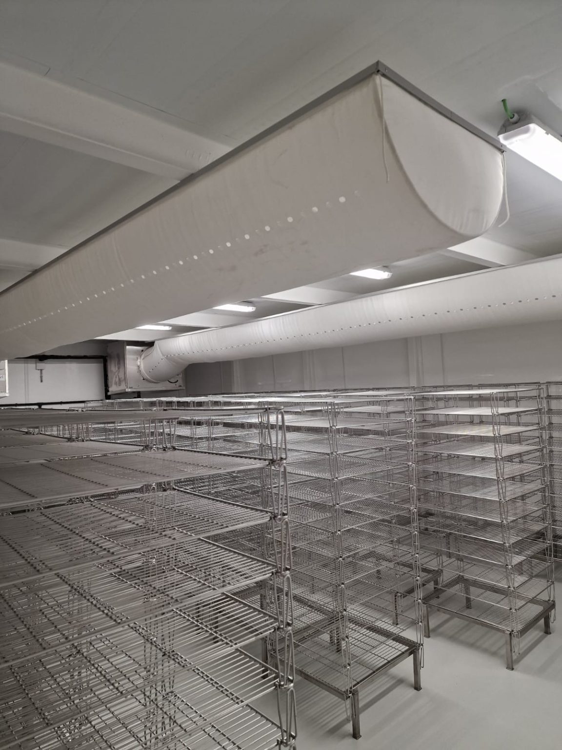 Imagem WhatsApp 2025-01-15 às 11.23.30_a467f8df